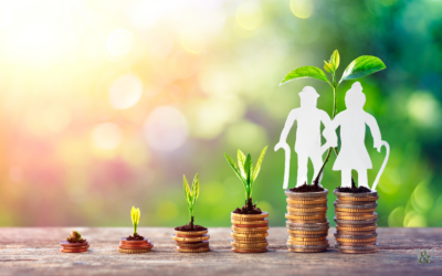 Maximise Pension Contributions Tax Relief in the UK