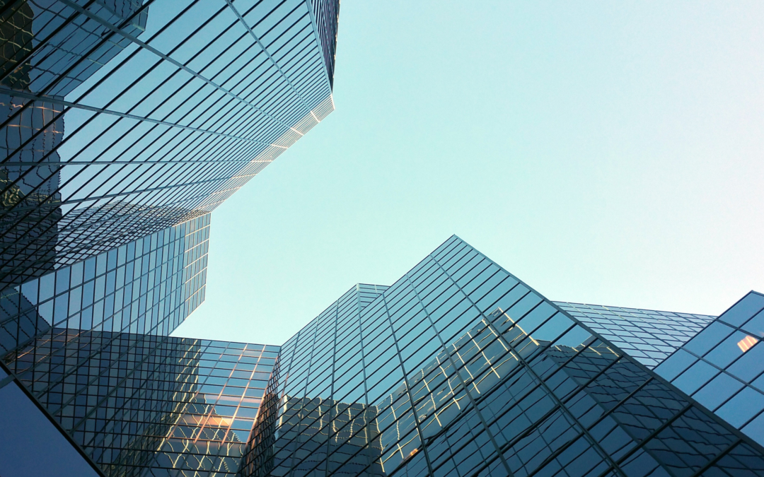 Setting Up a Limited Company: A Guide for Security Professionals